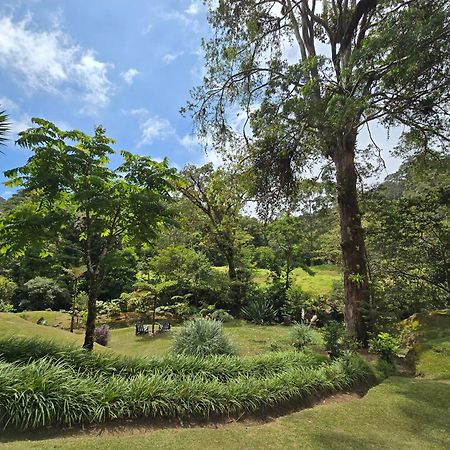 Monteverde Casa Mia, Near Main Attractions And Town! Εξωτερικό φωτογραφία