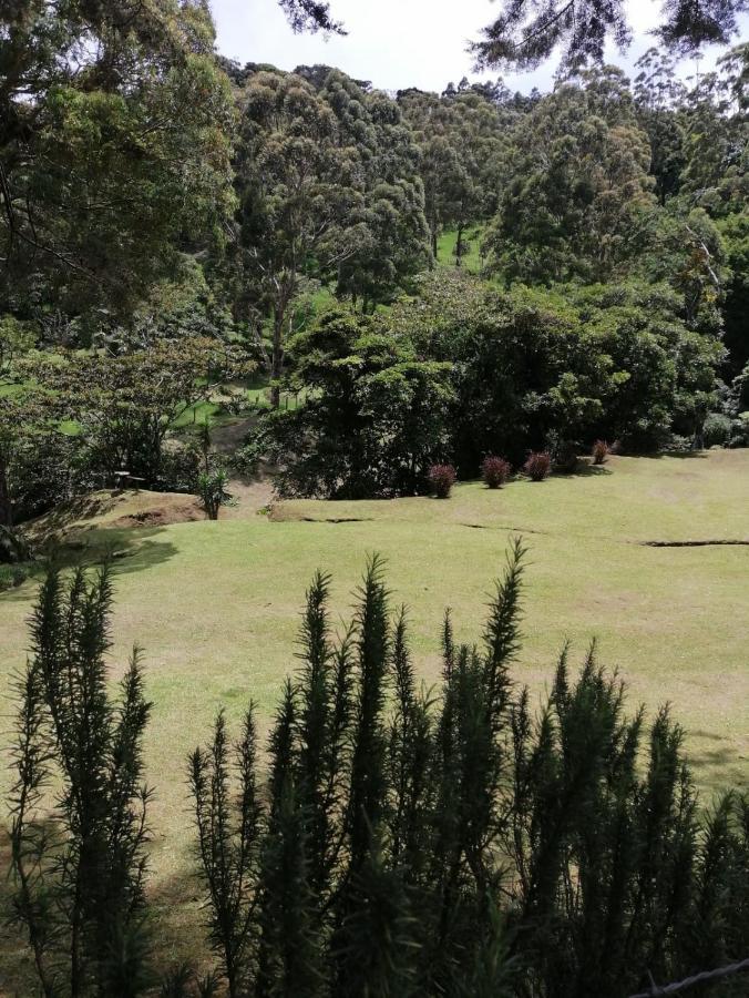 Monteverde Casa Mia, Near Main Attractions And Town! Εξωτερικό φωτογραφία