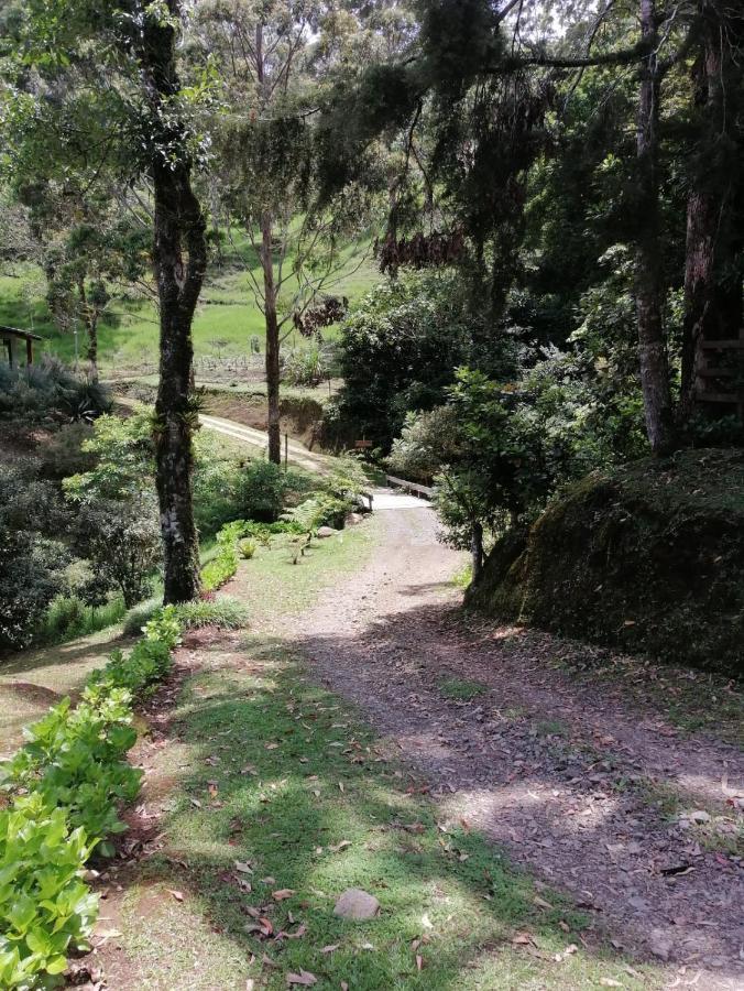 Monteverde Casa Mia, Near Main Attractions And Town! Εξωτερικό φωτογραφία