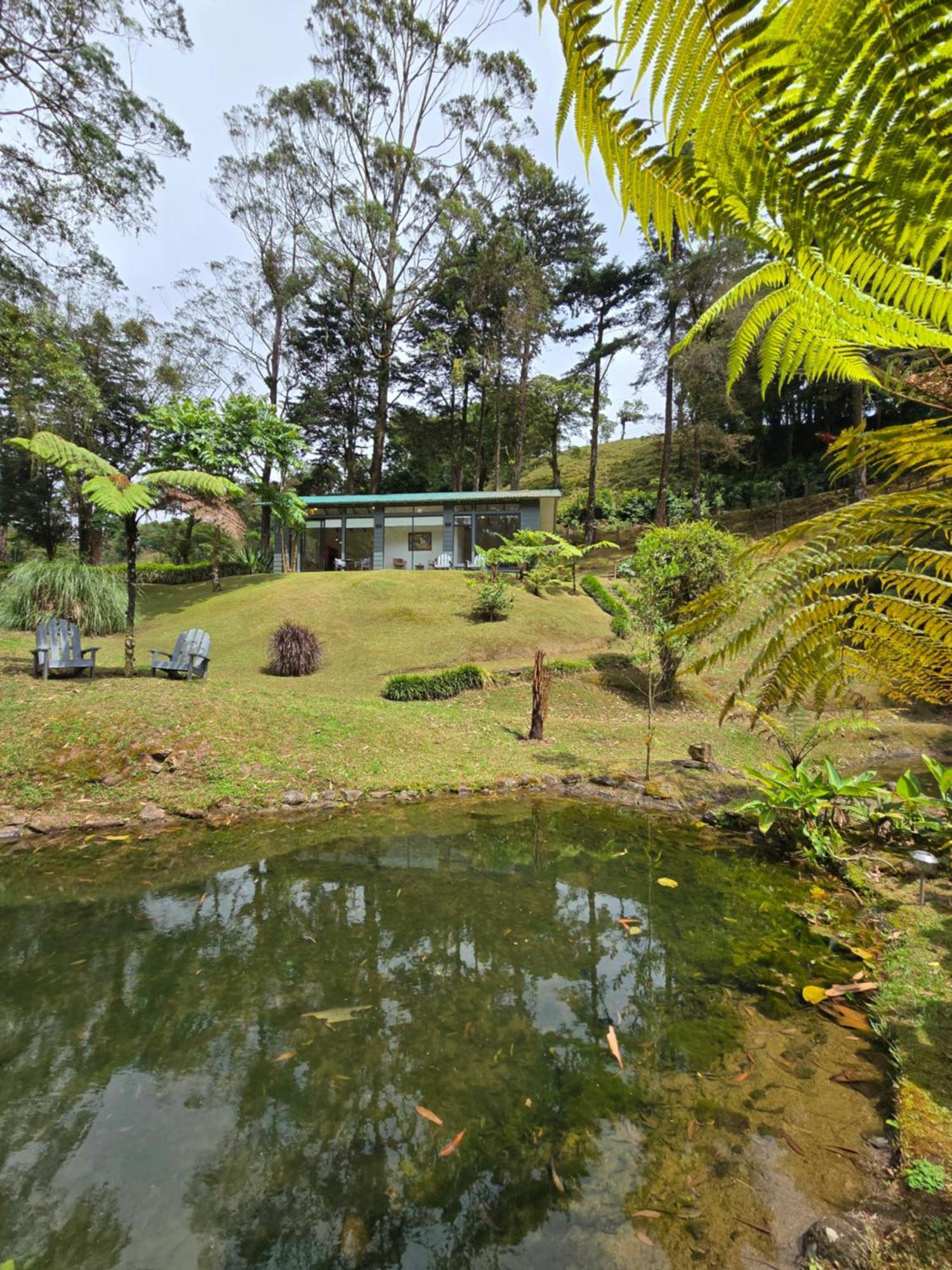 Monteverde Casa Mia, Near Main Attractions And Town! Εξωτερικό φωτογραφία