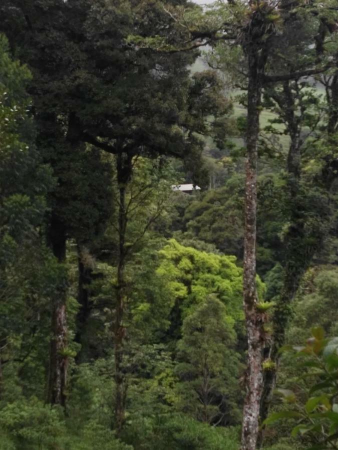 Monteverde Casa Mia, Near Main Attractions And Town! Εξωτερικό φωτογραφία