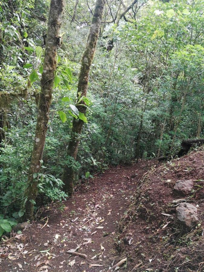 Monteverde Casa Mia, Near Main Attractions And Town! Εξωτερικό φωτογραφία